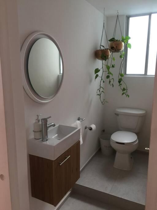 Cozy In Condesa's Heart ! Appartement *